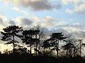 2012-1204-1455_Morden_Park_7C
